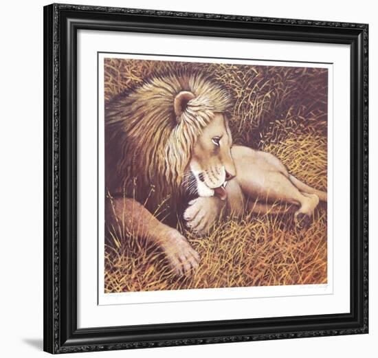 Ngorongoro Lion-Caroline Schultz-Framed Collectable Print