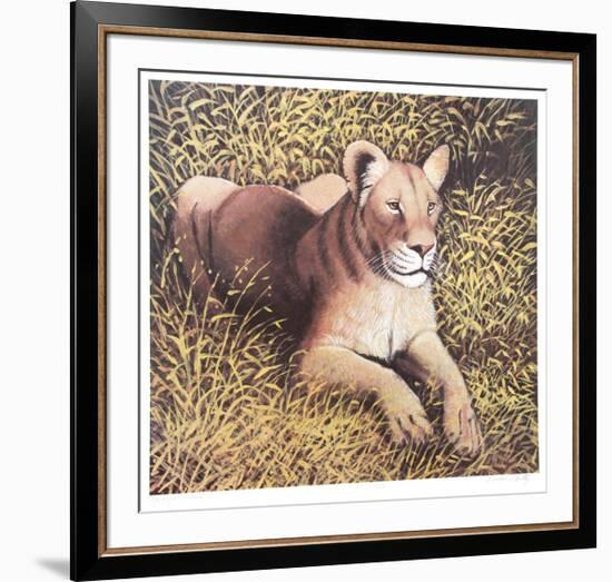 Ngorongoro Lioness-Caroline Schultz-Framed Collectable Print