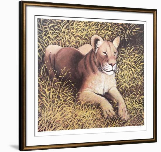 Ngorongoro Lioness-Caroline Schultz-Framed Collectable Print