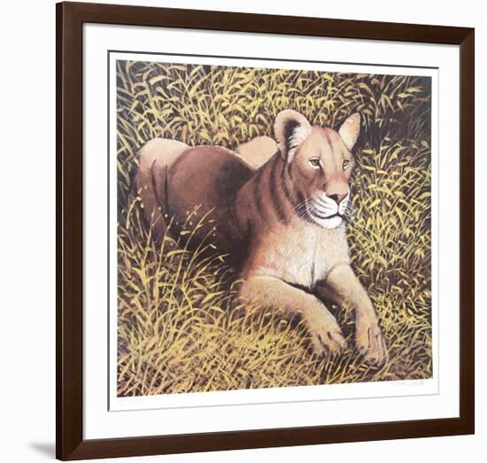 Ngorongoro Lioness-Caroline Schultz-Framed Collectable Print