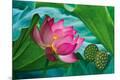 Giclee Print