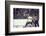 Nhl Boston Bruin Player Derek Sanderson in a Brawl Against Chicago Black Hawks-Art Rickerby-Framed Photographic Print