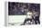 Nhl Boston Bruin Player Derek Sanderson in a Brawl Against Chicago Black Hawks-Art Rickerby-Framed Premier Image Canvas