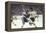 Nhl Boston Bruin Player Derek Sanderson Tripping Pittsburgh Penguin Player During Game-Art Rickerby-Framed Premier Image Canvas