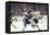 Nhl Boston Bruin Player Derek Sanderson Tripping Pittsburgh Penguin Player During Game-Art Rickerby-Framed Premier Image Canvas