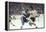 Nhl Boston Bruin Player Derek Sanderson Tripping Pittsburgh Penguin Player During Game-Art Rickerby-Framed Premier Image Canvas