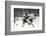 Nhl Boston Bruin Player Derek Sanderson Tripping Pittsburgh Penguin Player During Game-Art Rickerby-Framed Photographic Print