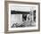 Niagara, 1953-null-Framed Photographic Print