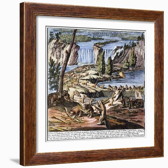 Niagara Falls: Beavers, 1715-null-Framed Giclee Print