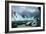 Niagara Falls-Hippolyte Victor Valentin Sebron-Framed Giclee Print