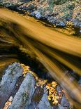 Close Up of Slate, Easdale, Scotland, UK-Niall Benvie-Photographic Print