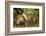 Nibble-Mark Bridger-Framed Art Print