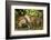 Nibble-Mark Bridger-Framed Art Print