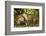 Nibble-Mark Bridger-Framed Art Print