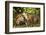 Nibble-Mark Bridger-Framed Art Print