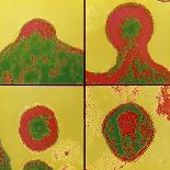 Coloured TEM of HIV Viruses Budding From a T-cell-NIBSC-Photographic Print