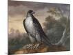 Premium Giclee Print