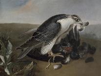 Deux lièvres parmi une grande quantité d'oiseaux.-Nicasius Bernaerts-Giclee Print