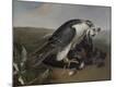 Premium Giclee Print