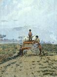 Seeding in Tuscany-Niccolo Cannicci-Giclee Print