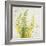 Nice Ferns II-Patricia Pinto-Framed Art Print