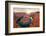 Nice Image of Horseshoe Bend-diro-Framed Photographic Print