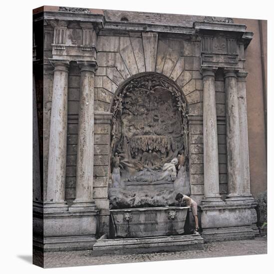 Stretched Canvas Print, , large