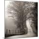 Premium Photographic Print