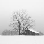 Sparks Lane-Nicholas Bell Photography-Framed Stretched Canvas