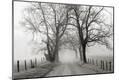 Photographic Print