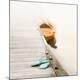 Premium Photographic Print