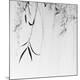 Premium Photographic Print