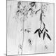 Premium Photographic Print