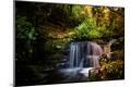 Photographic Print