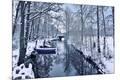 Photographic Print