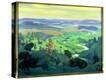 Stretched Canvas Print