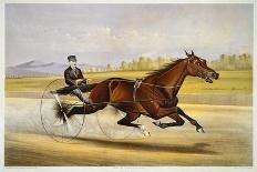 Queen of the Turf, 'Maud S', Driven by W.W. Bair, Lithograph-Nicholas Winfield Leighton-Framed Giclee Print