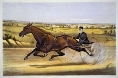 The King of the Turf, "St. Julien," Driven by Orrin A. Hickok, Published by Currier and Ives, 1880-Nicholas Winfield Leighton-Framed Giclee Print