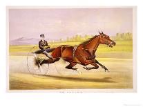 Queen of the Turf, 'Maud S', Driven by W.W. Bair, Lithograph-Nicholas Winfield Leighton-Giclee Print