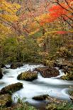 Autumn Color of Oirase River, Japan-NicholasHan-Photographic Print