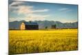 Photographic Print