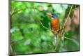 Premium Photographic Print