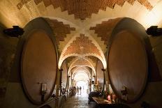 Interior with Columns and Windows, La Sagrada Familia Church, Barcelona, Catalonia, Spain, Europe-Nick Servian-Photographic Print