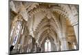 Premium Photographic Print