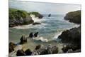 Photographic Print