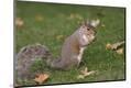 Photographic Print