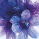 Floral Intensity II-Nick Vivian-Framed Giclee Print