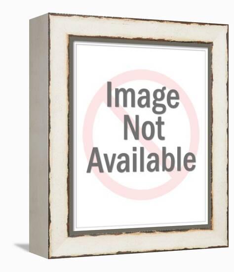 Nicki Minaj-null-Framed Stretched Canvas