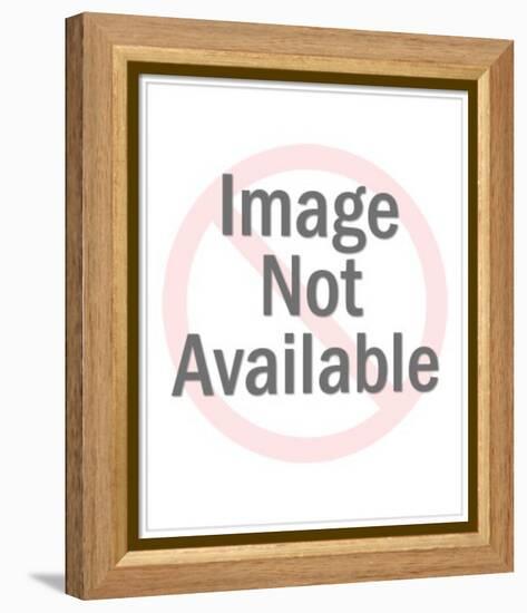 Nicki Minaj-null-Framed Stretched Canvas