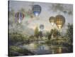 Stretched Canvas Print